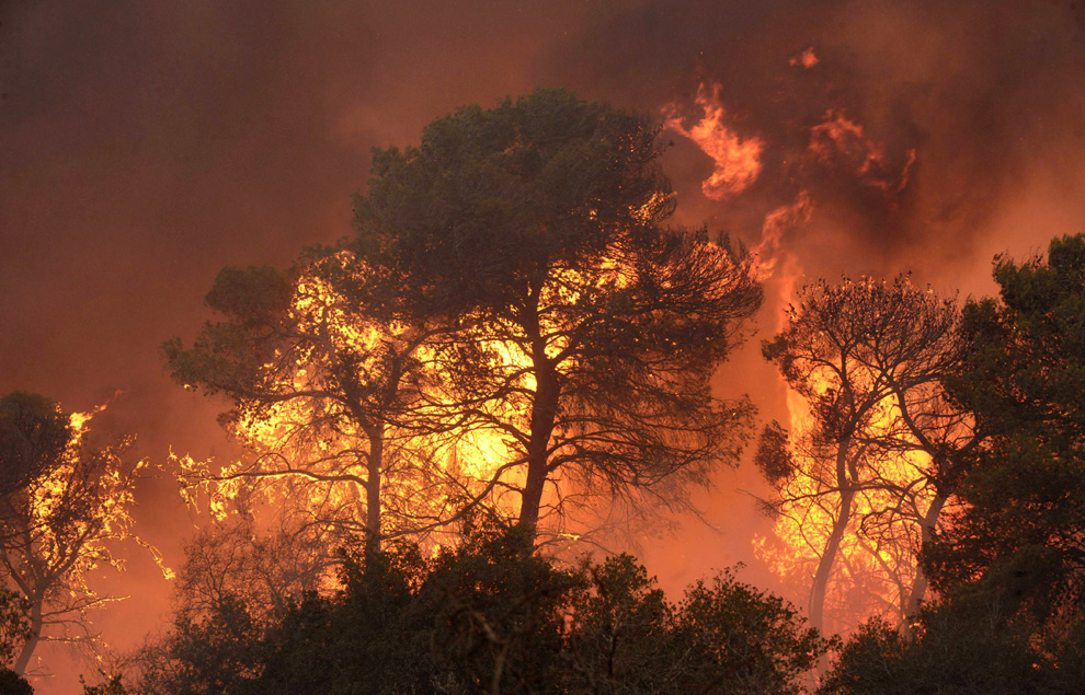Фотография: Лесной пожар в Израиле (Часть 2) №3 - BigPicture.ru