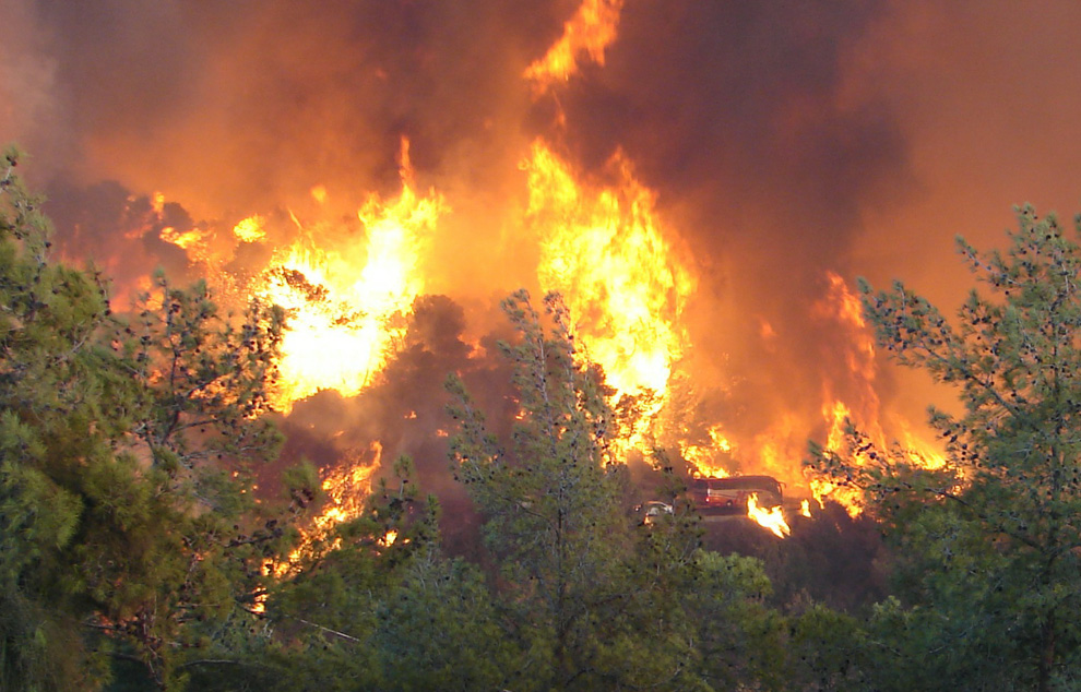 Фотография: Лесной пожар в Израиле (Часть 2) №4 - BigPicture.ru