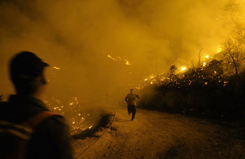 Фотография: Лесной пожар в Израиле (Часть 2) №6 - BigPicture.ru