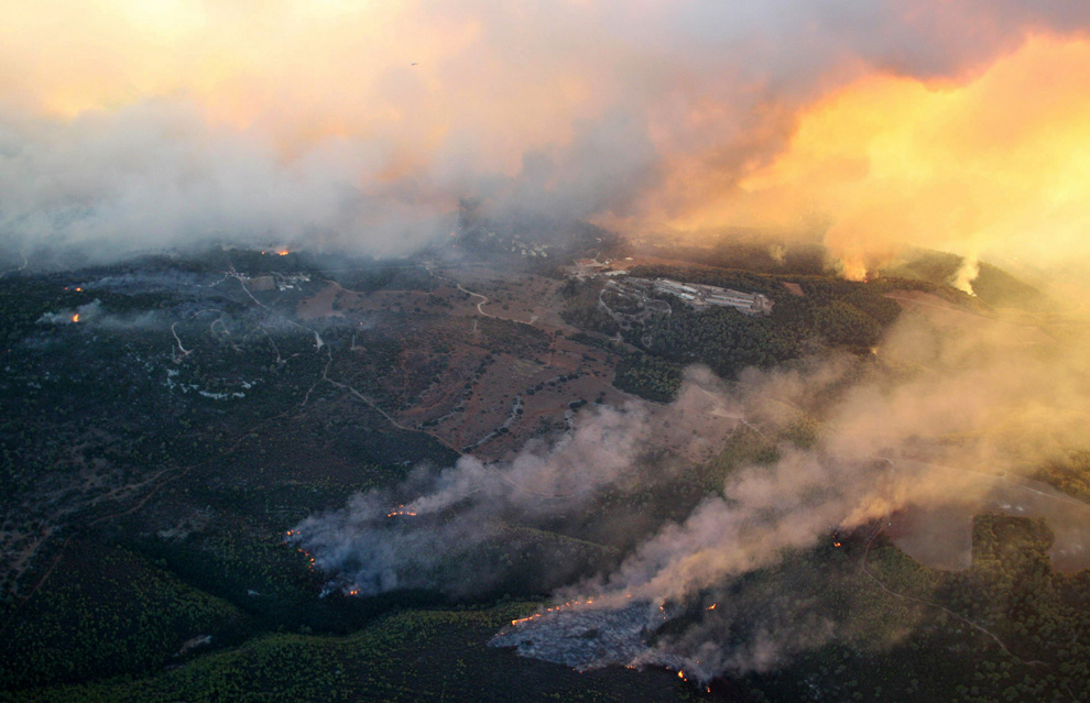 Фотография: Лесной пожар в Израиле (Часть 2) №9 - BigPicture.ru