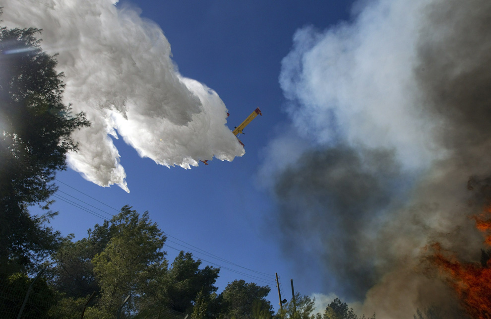 Фотография: Лесной пожар в Израиле (Часть 2) №10 - BigPicture.ru