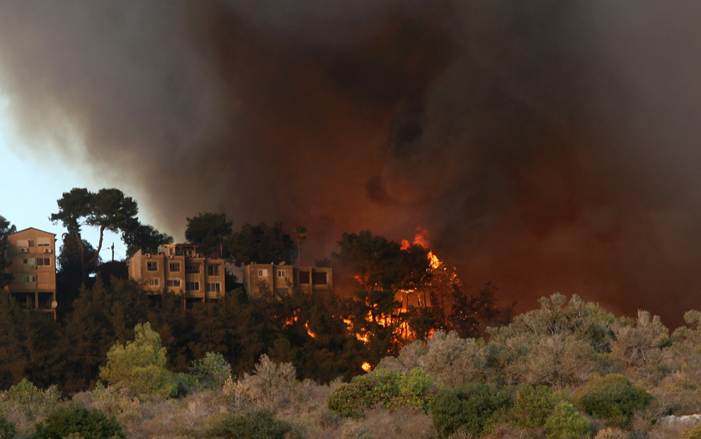 Фотография: Лесной пожар в Израиле (Часть 2) №11 - BigPicture.ru