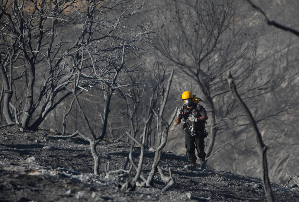 Фотография: Лесной пожар в Израиле (Часть 2) №12 - BigPicture.ru