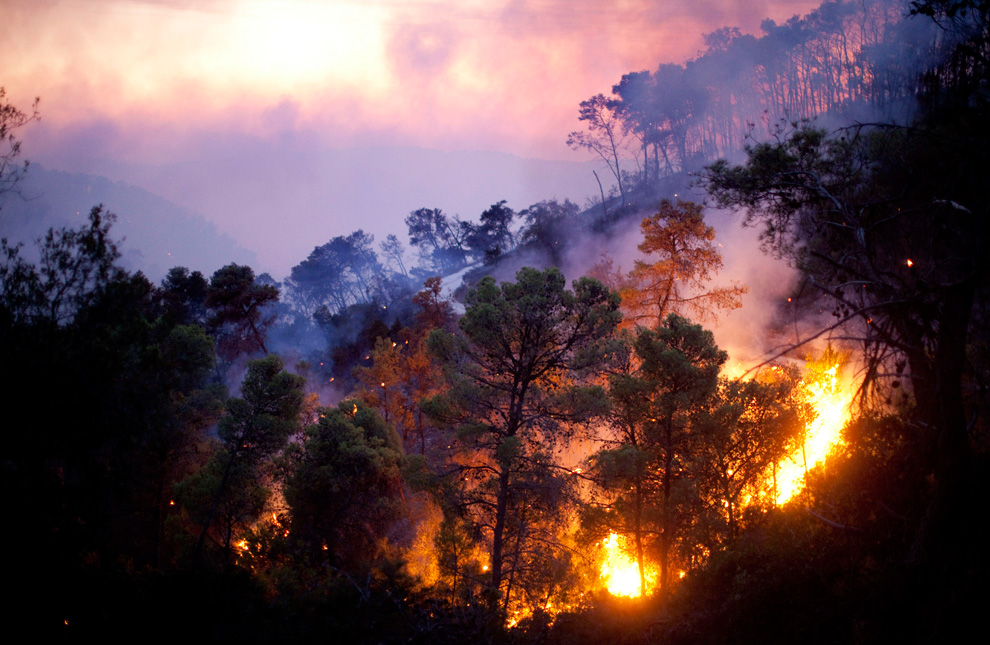 Фотография: Лесной пожар в Израиле (Часть 2) №17 - BigPicture.ru