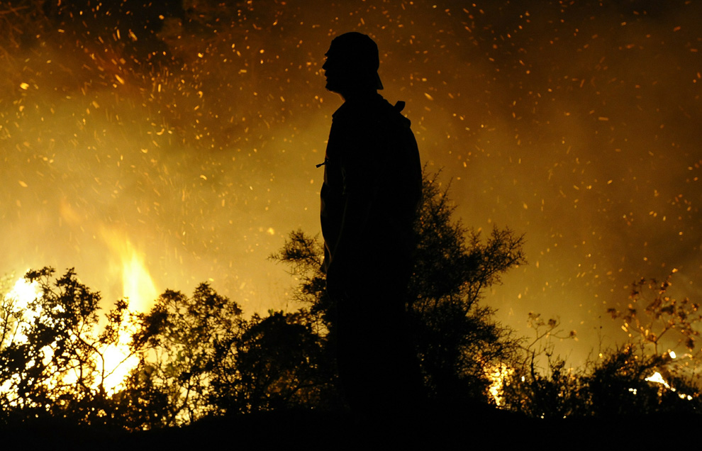 Фотография: Лесной пожар в Израиле (Часть 2) №20 - BigPicture.ru