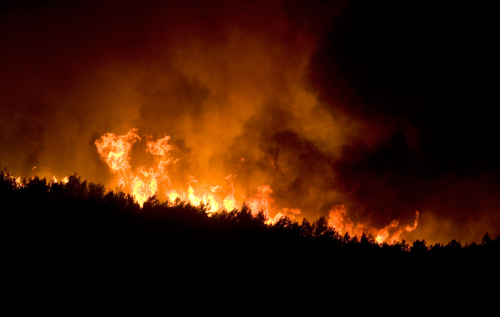 Фотография: Лесной пожар в Израиле (Часть 2) №21 - BigPicture.ru