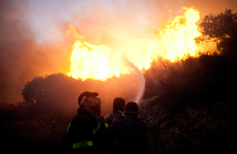 Фотография: Лесной пожар в Израиле (Часть 2) №24 - BigPicture.ru