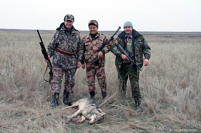 Фотография: Охота на волка №1 - BigPicture.ru