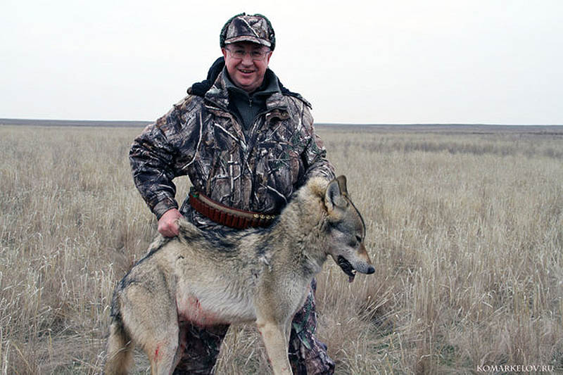 Фотография: Охота на волка №10 - BigPicture.ru