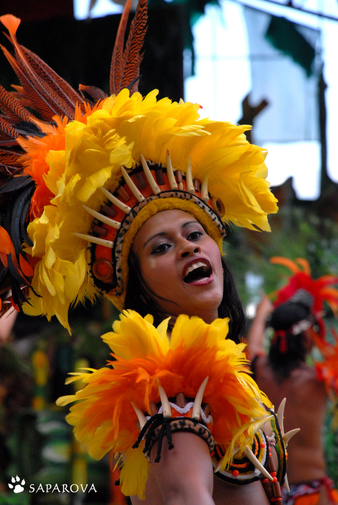 Фотография: Карнавал бразильских индейцев Бой Мэй Бумба №14 - BigPicture.ru