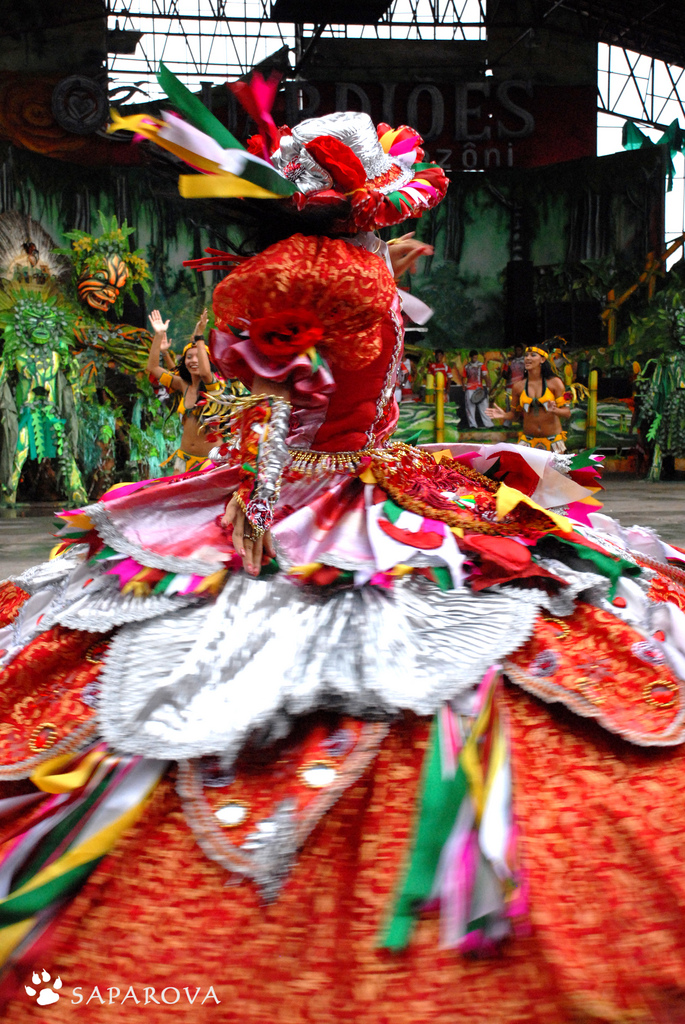 Фотография: Карнавал бразильских индейцев Бой Мэй Бумба №7 - BigPicture.ru