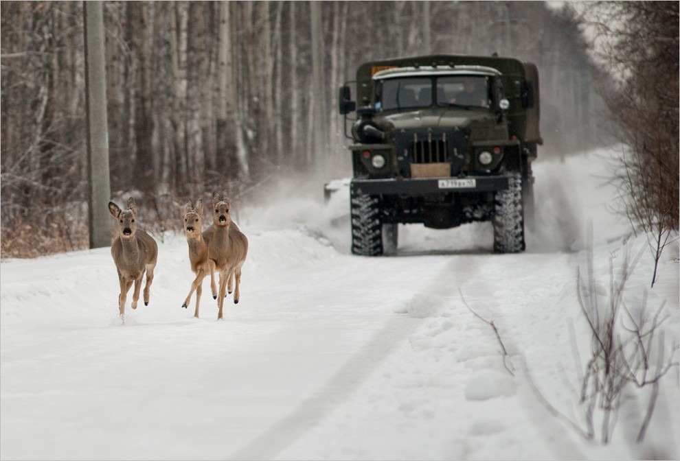 Фотография: Учения милицейского спецназа в Кургане №45 - BigPicture.ru
