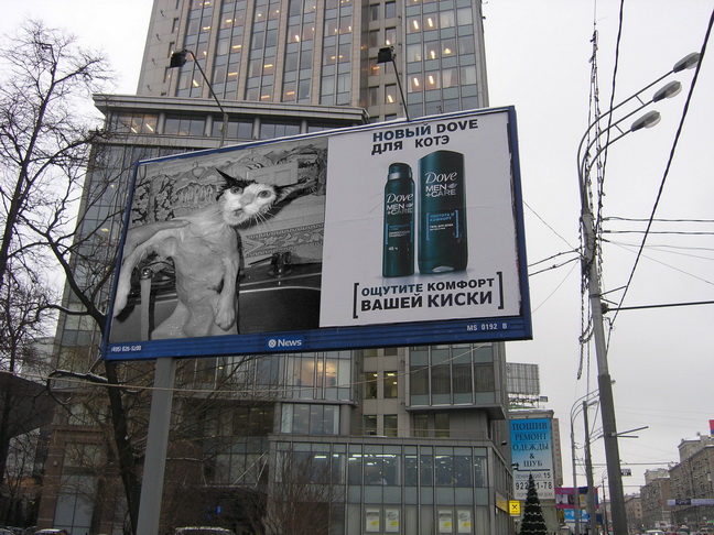 Фотография: Новые ржачные фотожабы рекламы Dove Men №29 - BigPicture.ru