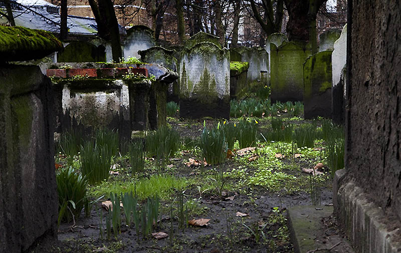 Фотография: На необычном кладбище: Банхилл-Филдс в Лондоне №7 - BigPicture.ru