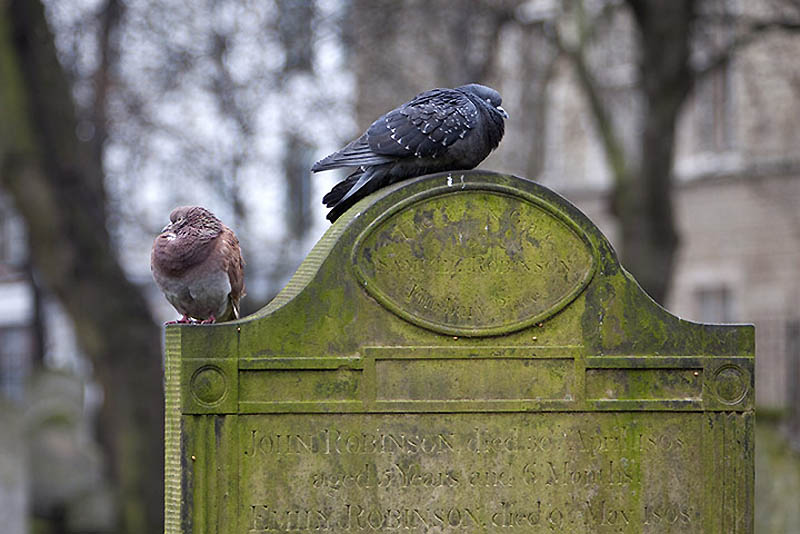 Фотография: На необычном кладбище: Банхилл-Филдс в Лондоне №8 - BigPicture.ru