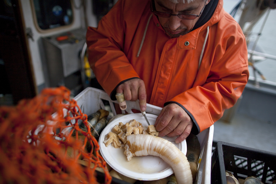 Фотография: Большая награда за больших моллюсков №8 - BigPicture.ru