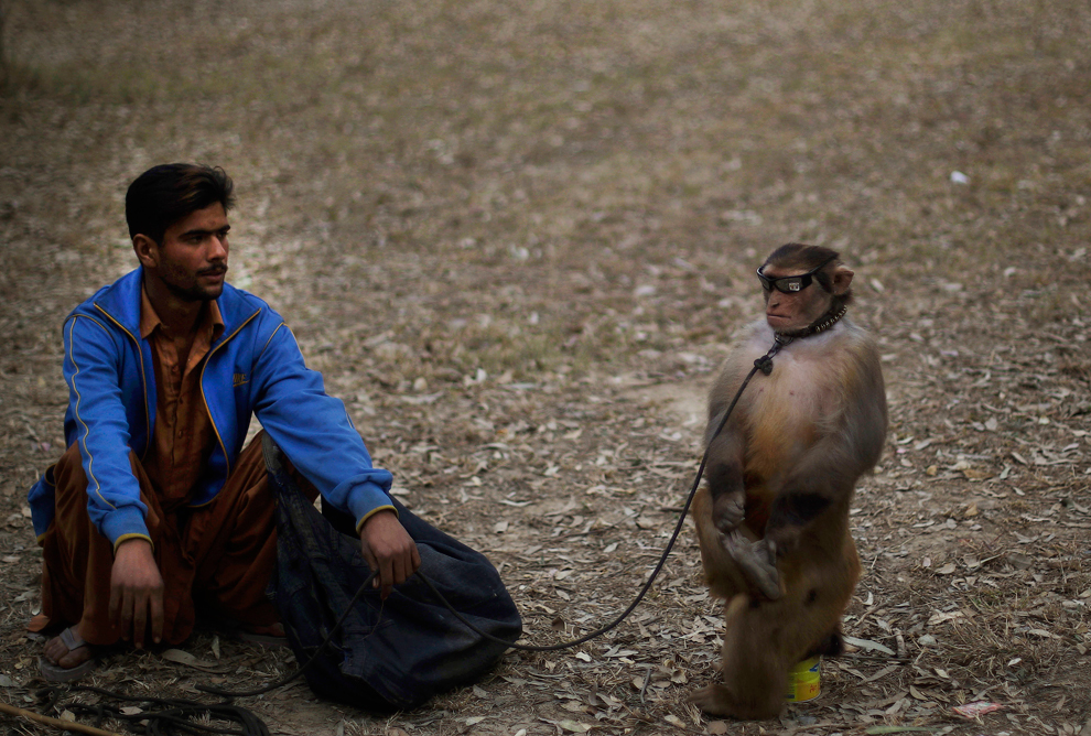 Фотография: Повседневная жизнь в Пакистане №9 - BigPicture.ru