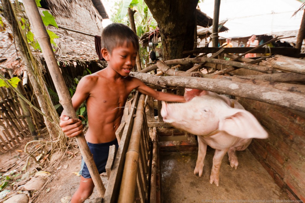 Фотография: Как живет настоящая камбоджийская глубинка №23 - BigPicture.ru