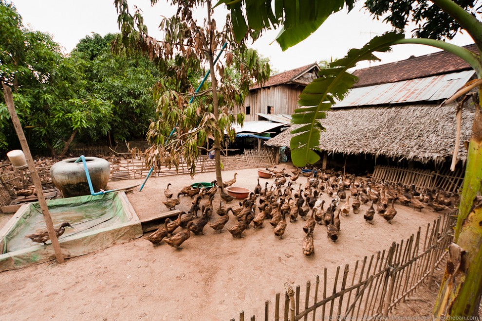 Фотография: Как живет настоящая камбоджийская глубинка №22 - BigPicture.ru
