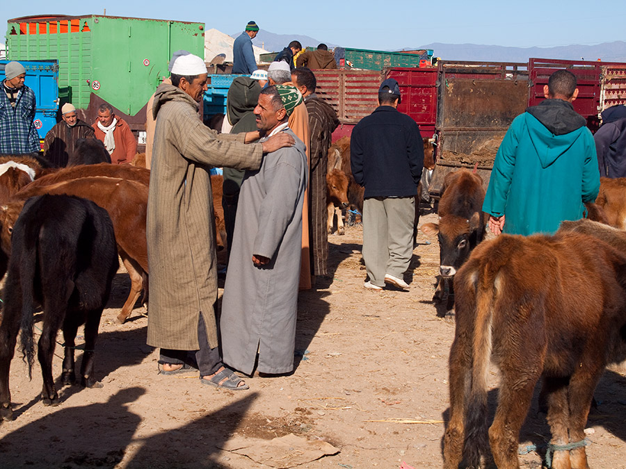 Фотография: Марокканский рынок №15 - BigPicture.ru