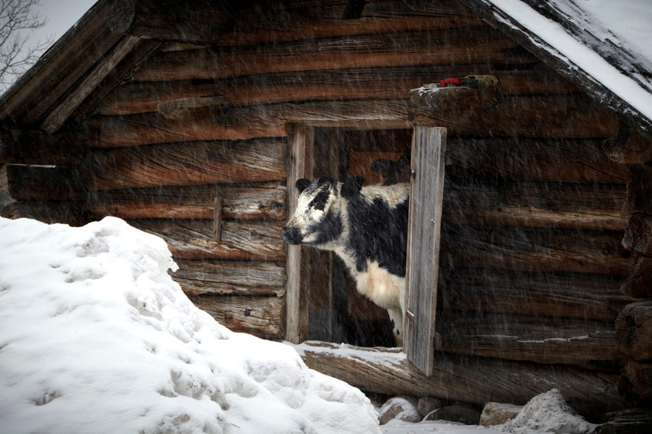 Фотография: Последний месяц холодной зимы 2011 №2 - BigPicture.ru
