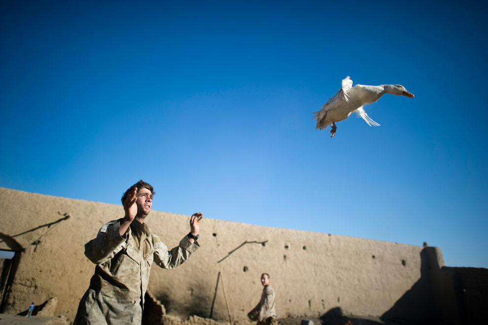 Фотография: Афганистан - январь 2011 №19 - BigPicture.ru