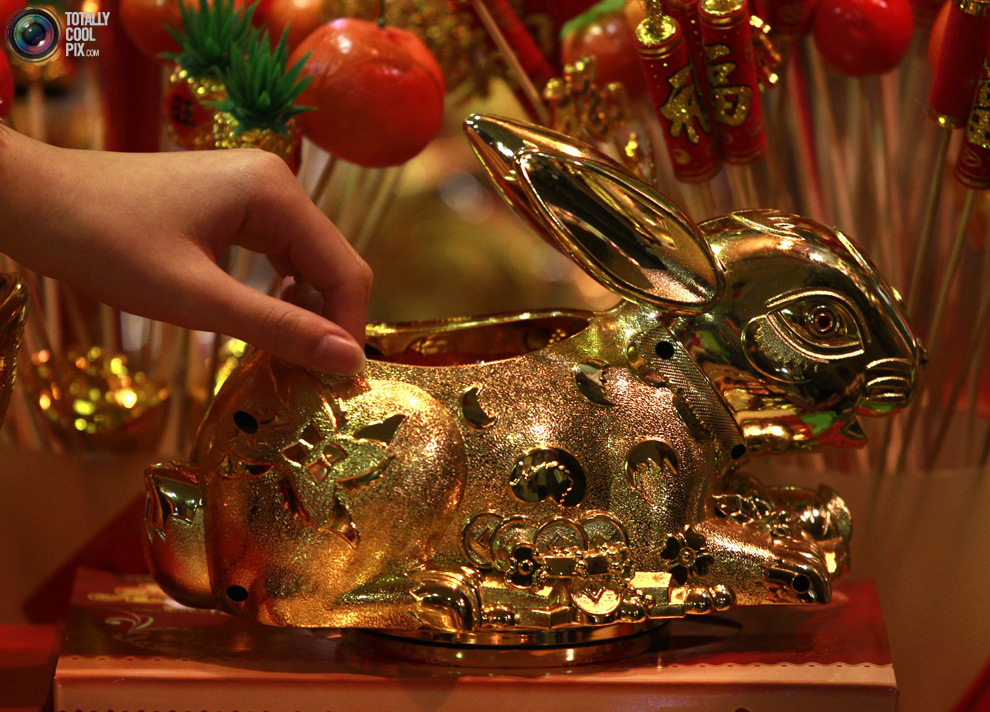Фотография: Новый год кролика по восточному календарю №4 - BigPicture.ru