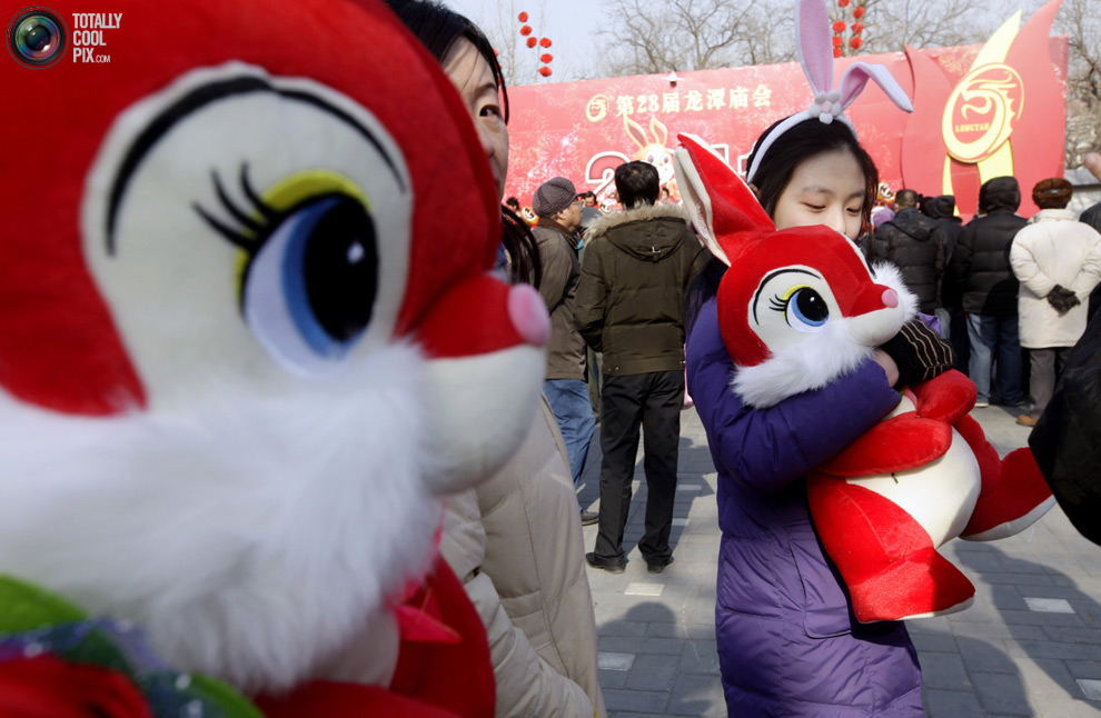 Фотография: Новый год кролика по восточному календарю №7 - BigPicture.ru