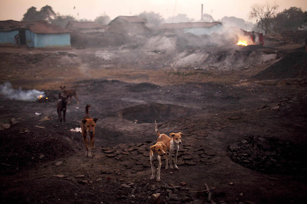 Фотография: Бокахапари – деревня на горящей земле №16 - BigPicture.ru