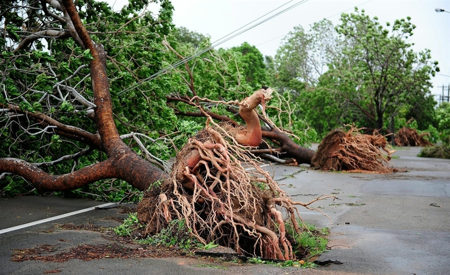 Фотография: Тропический циклон Яси обрушился на Австралию №10 - BigPicture.ru