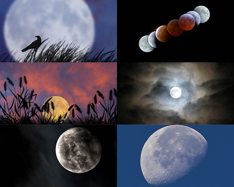 Ветер и луна не подходят друг другу. Луна в приближении. Луна близко к земле. Максимальное приближение Луны к земле. Луна и земля.