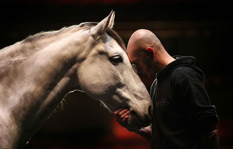 Фотография: На сцене - лошади №2 - BigPicture.ru