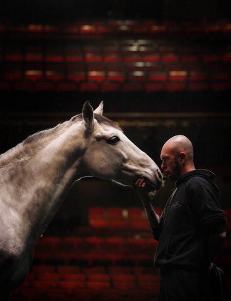 Фотография: На сцене - лошади №9 - BigPicture.ru