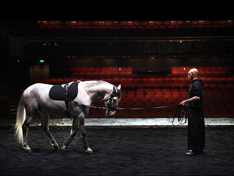 Фотография: На сцене - лошади №10 - BigPicture.ru