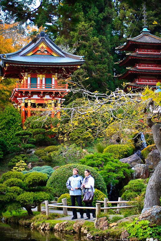 Фотография: Японский чайный сад в Сан-Франциско №30 - BigPicture.ru