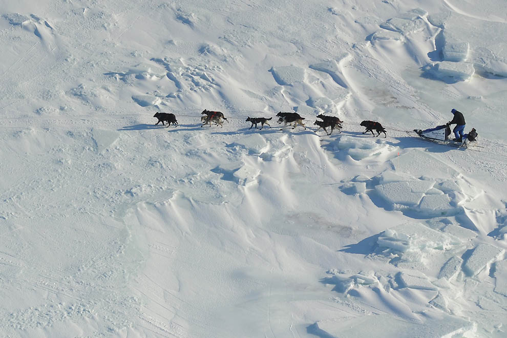 Фотография: Iditarod 2011 и другие гонки на собачьих упряжках №11 - BigPicture.ru