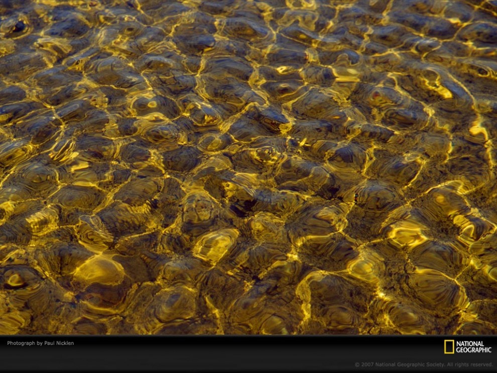 Фотография: Узоры природы: Вода №11 - BigPicture.ru