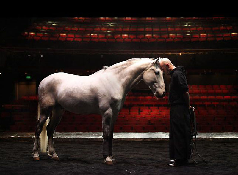 Фотография: На сцене - лошади №11 - BigPicture.ru