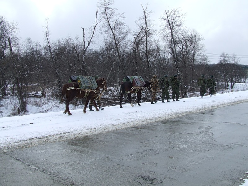 Фотография: 34-я горная бригада: Вьючно-транспортный взвод №36 - BigPicture.ru