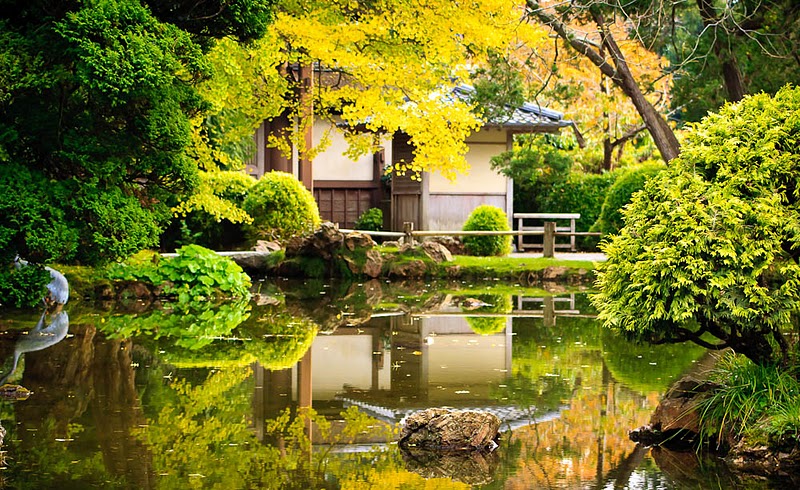 Фотография: Японский чайный сад в Сан-Франциско №27 - BigPicture.ru