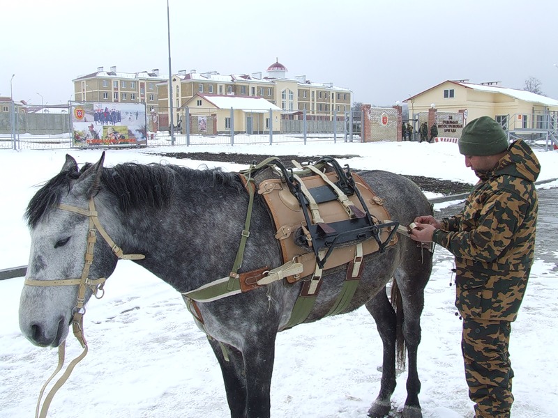 Фотография: 34-я горная бригада: Вьючно-транспортный взвод №34 - BigPicture.ru