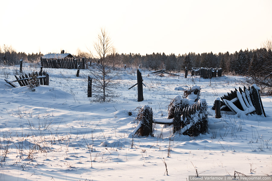 Фотография: Русская деревня: зима 2010-11 №19 - BigPicture.ru