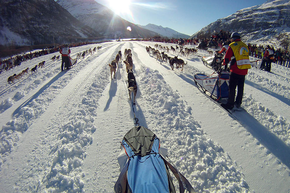Фотография: Iditarod 2011 и другие гонки на собачьих упряжках №15 - BigPicture.ru