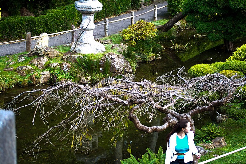 Фотография: Японский чайный сад в Сан-Франциско №25 - BigPicture.ru