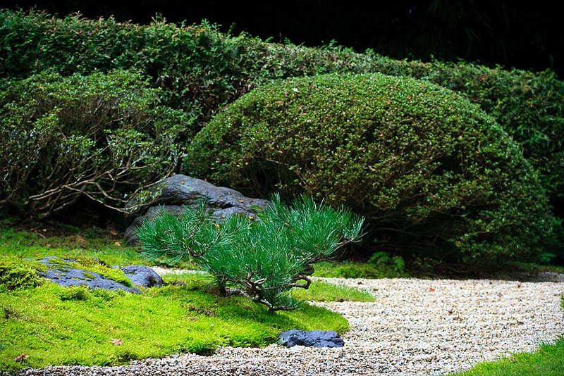 Фотография: Японский чайный сад в Сан-Франциско №19 - BigPicture.ru