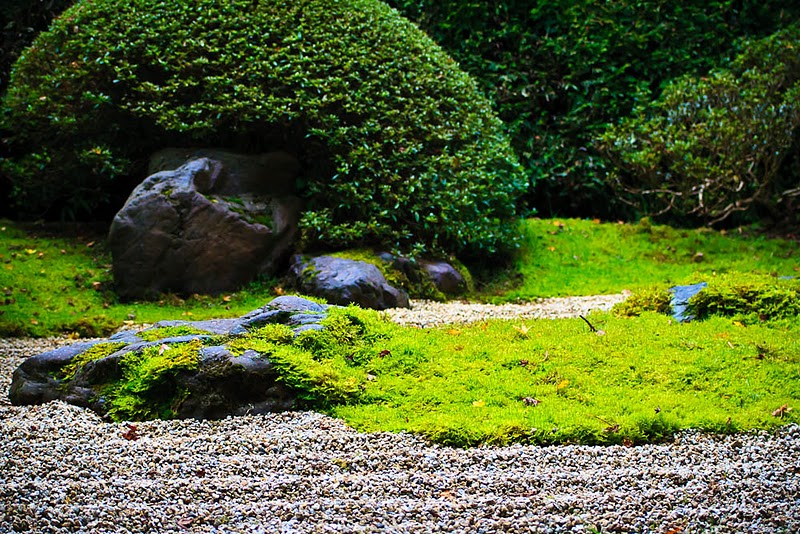Фотография: Японский чайный сад в Сан-Франциско №18 - BigPicture.ru