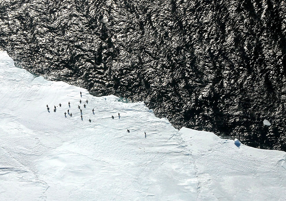 Фотография: Антарктика в фотографиях (Часть 2) №26 - BigPicture.ru