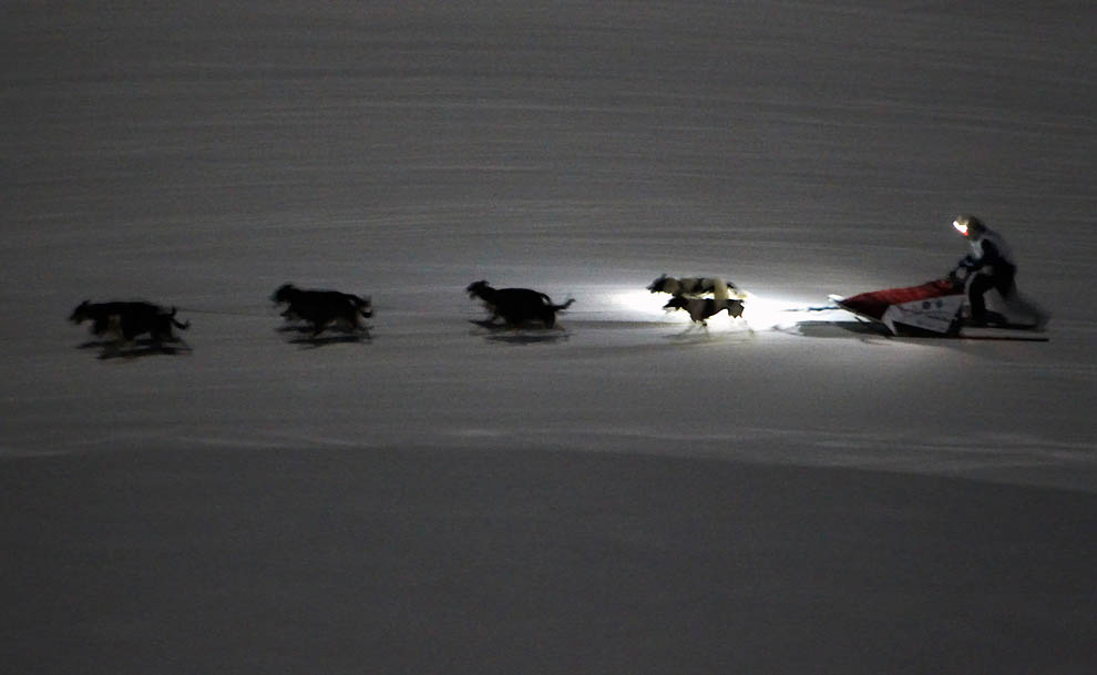 Фотография: Iditarod 2011 и другие гонки на собачьих упряжках №27 - BigPicture.ru