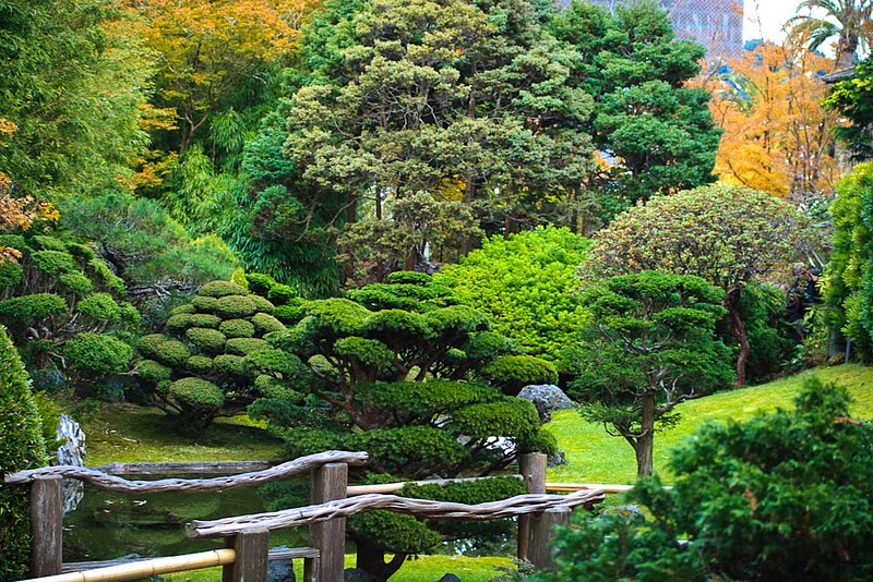 Фотография: Японский чайный сад в Сан-Франциско №13 - BigPicture.ru