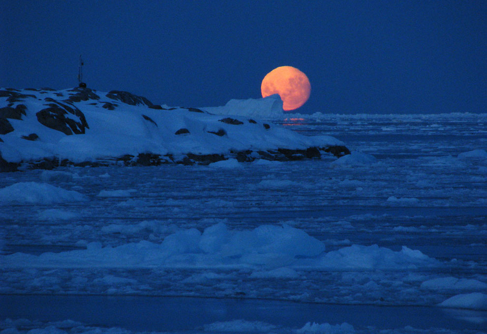 Фотография: Антарктика в фотографиях (Часть 2) №29 - BigPicture.ru